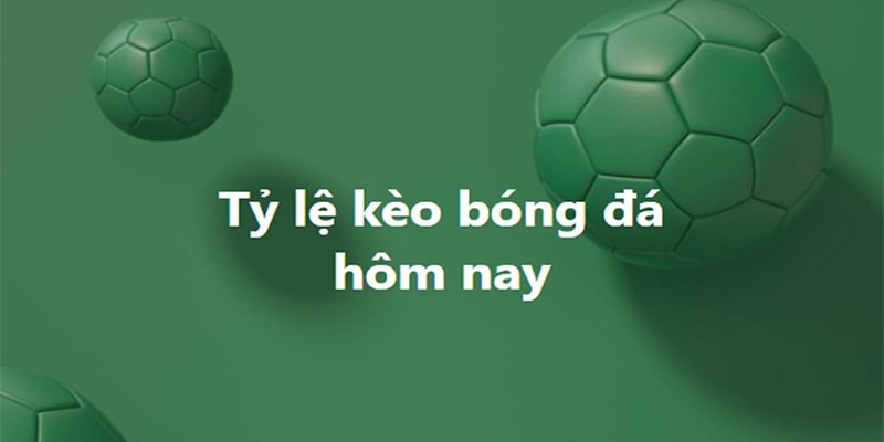 Bongdawap phát trực tiếp những giải đấu nào?