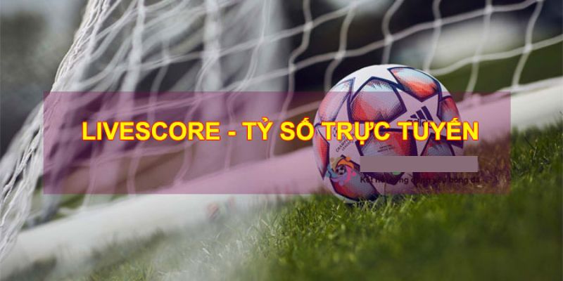 Đôi nét về livescore afcon