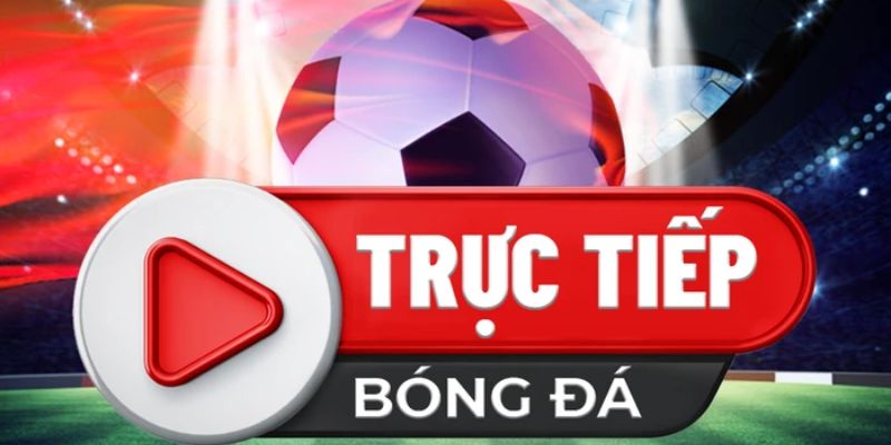 Vì sao nên xem trực tiếp bóng đá asian cup hôm nay tại bongdawap 